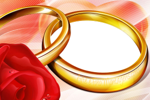 Moldura Amor - Alianças Flor Alianças, rosa vermelha, moldura delicada, fundo rosa.