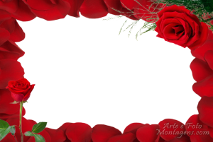 Moldura Amor - Rosas Vermelhas Buquê rosas vermelhas, moldura coração, fundo vermelho.