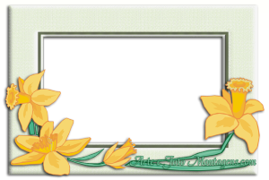 Moldura Diversas - Flores Amarelas Quadro Flores amarelas.